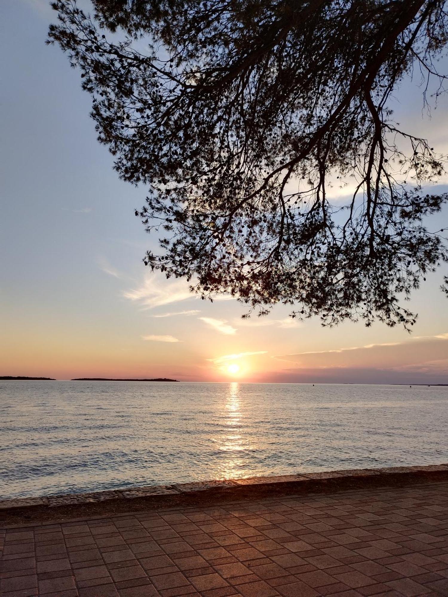 App Maria * Pula